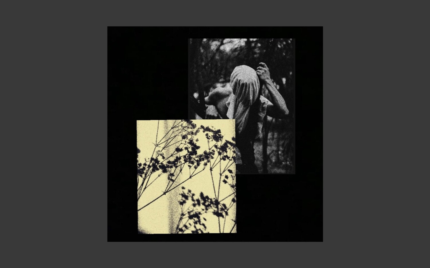 Disavowal Cover